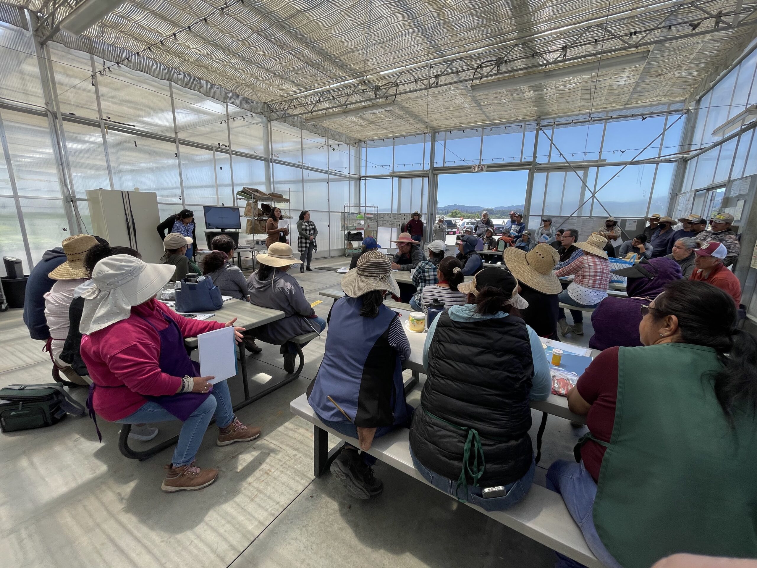 IMG_5534 Layoff Services<br />